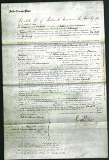 Court of Common Pleas - Grace Myerscough-Original Ancestry