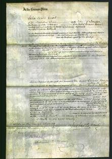 Court of Common Pleas - Lavinia Roberts-Original Ancestry