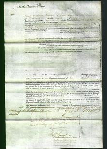 Court of Common Pleas - Louisa Heppel-Original Ancestry