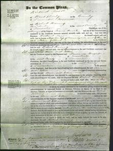 Court of Common Pleas - Ann Lydiate and Ellen Gibbons-Original Ancestry