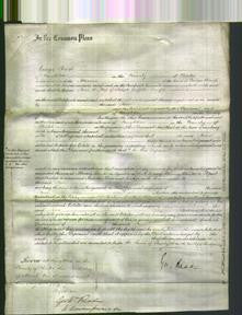 Court of Common Pleas - Anne Temple-Original Ancestry