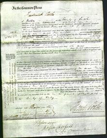 Court of Common Pleas - Frances Jebb-Original Ancestry