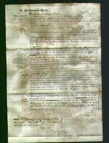 Court of Common Pleas - Martha Lloyd-Original Ancestry