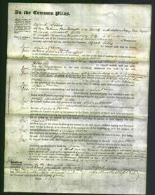 Court of Common Pleas - Sophia Frances Swoffer-Original Ancestry