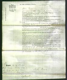 Court of Common Pleas - Arabella Hall-Original Ancestry