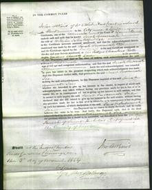 Court of Common Pleas - Sarah Susannah Ive-Original Ancestry