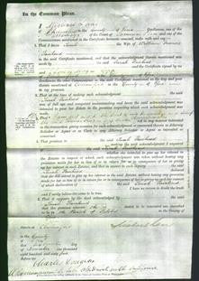 Court of Common Pleas - Sarah Fairhead-Original Ancestry