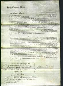 Court of Common Pleas - Mary Hensman-Original Ancestry