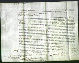 Court of Common Pleas - Louisa Jones-Original Ancestry