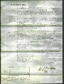 Court of Common Pleas - Ann Elizabeth Nutley-Original Ancestry