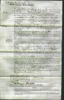 Court of Common Pleas - Louisa Sarah Maxwell and Sabina Letitia Vaughton-Original Ancestry