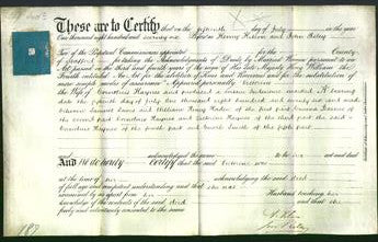 Deed by Married Women - Victorine Haynes-Original Ancestry