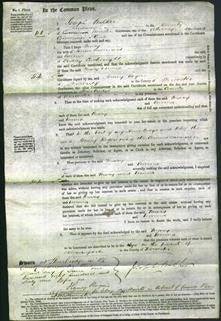 Court of Common Pleas - Mary Millward and Emma Cartwright-Original Ancestry