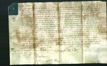 Court of Common Pleas - Elizabeth Wilson-Original Ancestry