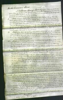 Court of Common Pleas - Julia Elizabeth Severs-Original Ancestry