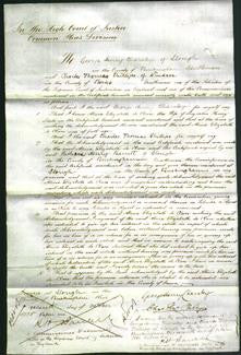 Court of Common Pleas - Alicia Elizabeth de Clare Lash-Original Ancestry