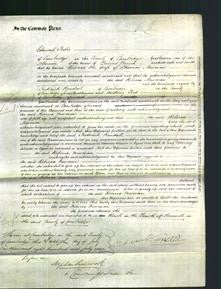 Court of Common Pleas - Rebecca Newman-Original Ancestry