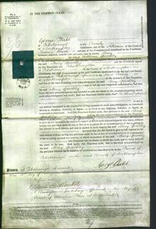 Court of Common Pleas - Mary Speechley-Original Ancestry