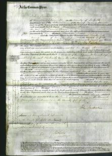 Court of Common Pleas - Marianne Traice-Original Ancestry