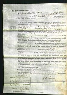 Court of Common Pleas - Jane Duffield-Original Ancestry