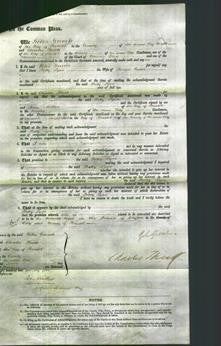 Court of Common Pleas - Betty Lyne Hooper Cadie-Original Ancestry