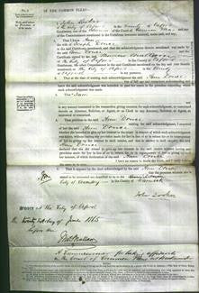 Court of Common Pleas - Ann Druce-Original Ancestry