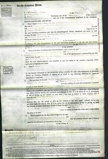 Court of Common Pleas - Helen Lucy Hinchliff, Jane Emily Turner, Charlotte Elizabeth Bottomley and Hannah Sophia Farrar-Original Ancestry