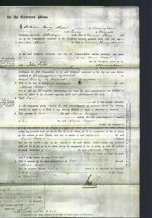 Court of Common Pleas - Maria Jagger-Original Ancestry