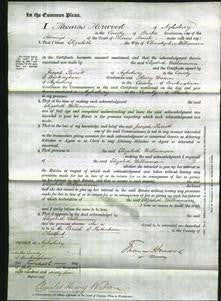 Court of Common Pleas - Elizabeth Williamson-Original Ancestry