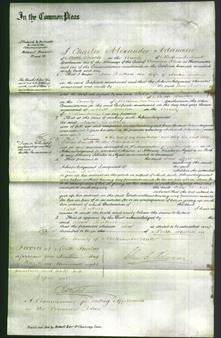 Court of Common Pleas - Jane Buttress-Original Ancestry