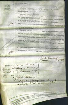 Court of Common Pleas - Caroline Tomlinson-Original Ancestry