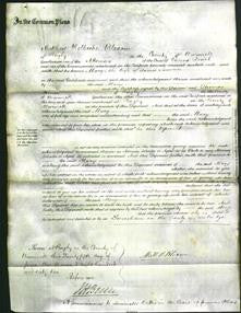 Court of Common Pleas - Mary Lawrence-Original Ancestry