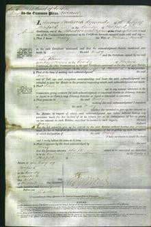 Court of Common Pleas - Mary Powell-Original Ancestry