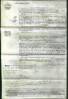 Court of Common Pleas - Mary Ann Elrington-Original Ancestry