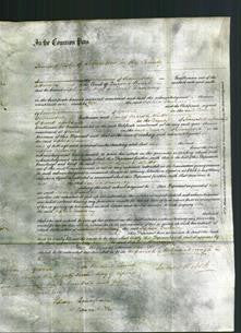 Court of Common Pleas - Sophia Dauncey-Original Ancestry