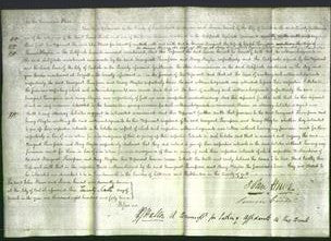 Court of Common Pleas - Margaret Thompson and Mary Hayton-Original Ancestry