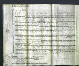 Court of Common Pleas - Mary Abbey Carr-Original Ancestry