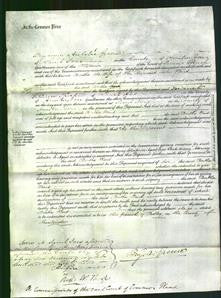 Court of Common Pleas - Bertha Ward-Original Ancestry