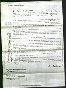 Court of Common Pleas - Hannah Raven Hopwood-Original Ancestry