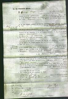 Court of Common Pleas - Elizabeth Turner-Original Ancestry