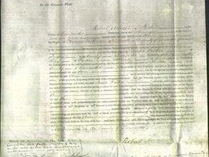 Court of Common Pleas - Ann Wilkinson-Original Ancestry