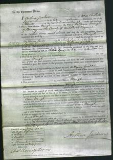 Court of Common Pleas - Ann Waugh-Original Ancestry