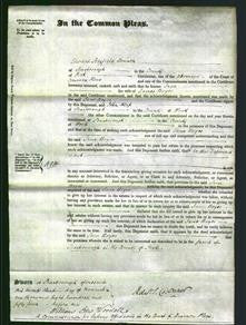 Court of Common Pleas - Jane Boyes-Original Ancestry