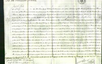 Court of Common Pleas - Felicia Coxon-Original Ancestry