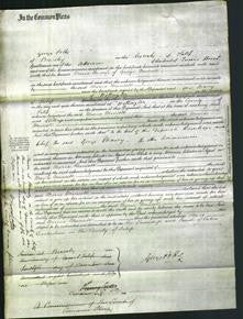 Court of Common Pleas - Maria Mansell-Original Ancestry