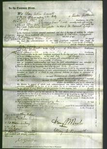 Court of Common Pleas - Wilhelmina Margarette Bellamy-Original Ancestry