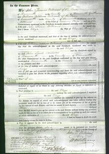 Court of Common Pleas - Eliza Price-Original Ancestry