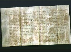 Deed by Married Women - Elizabeth Wilson-Original Ancestry