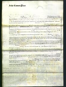 Court of Common Pleas - Bridget Archibald-Original Ancestry