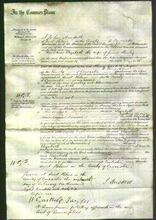 Court of Common Pleas - Elizabeth Stanley-Original Ancestry